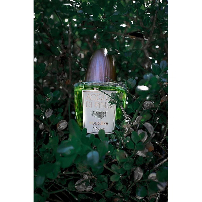 Acqua Di Pino Fougere For Men - A Men's Eau De Toilette Cologne Perfume Spray - 4.2 Oz